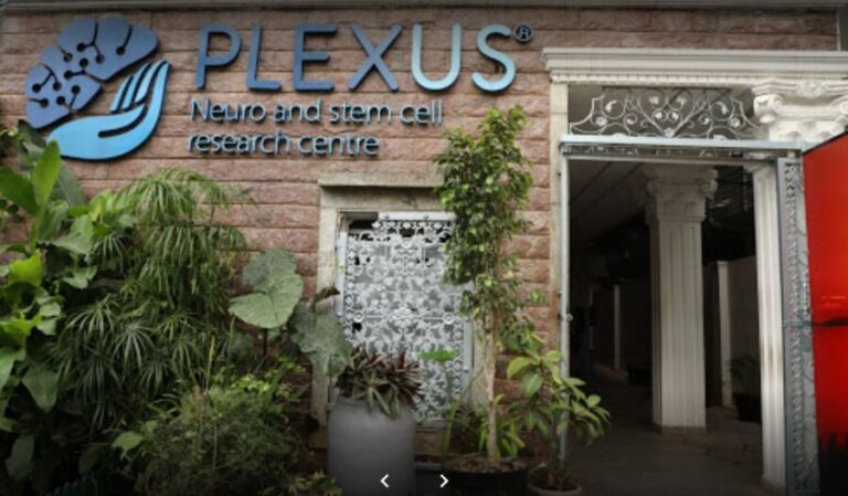 plexus 768x449
