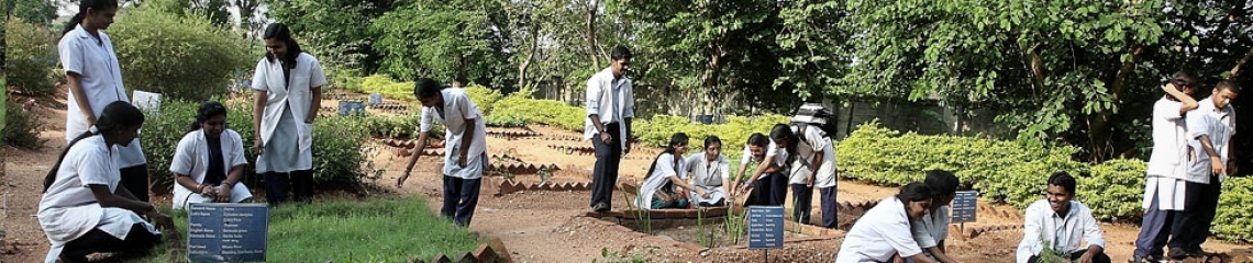 slide image7 oqst04hvmrhujc32bthycq819ufszom37ux6k4ielc