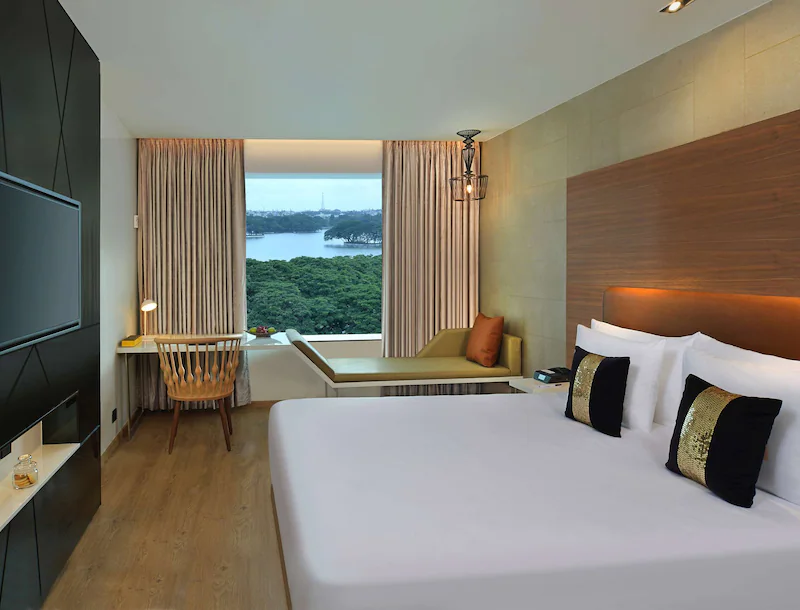 16256 116517 f64878913 3xl