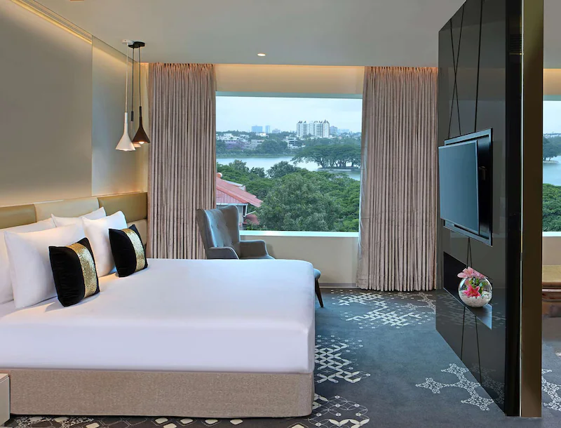 16256 116517 f64878929 3xl