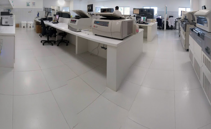 IMG 20180529 074223590 PANO 1