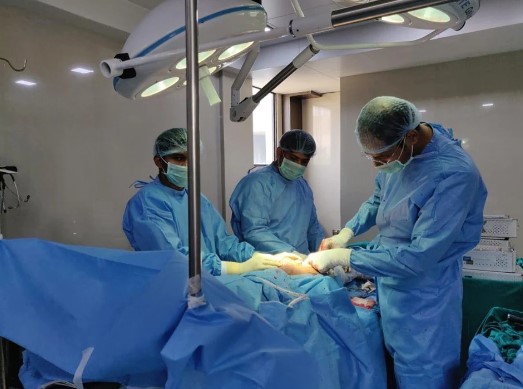 Screenshot 2022 12 21 141037