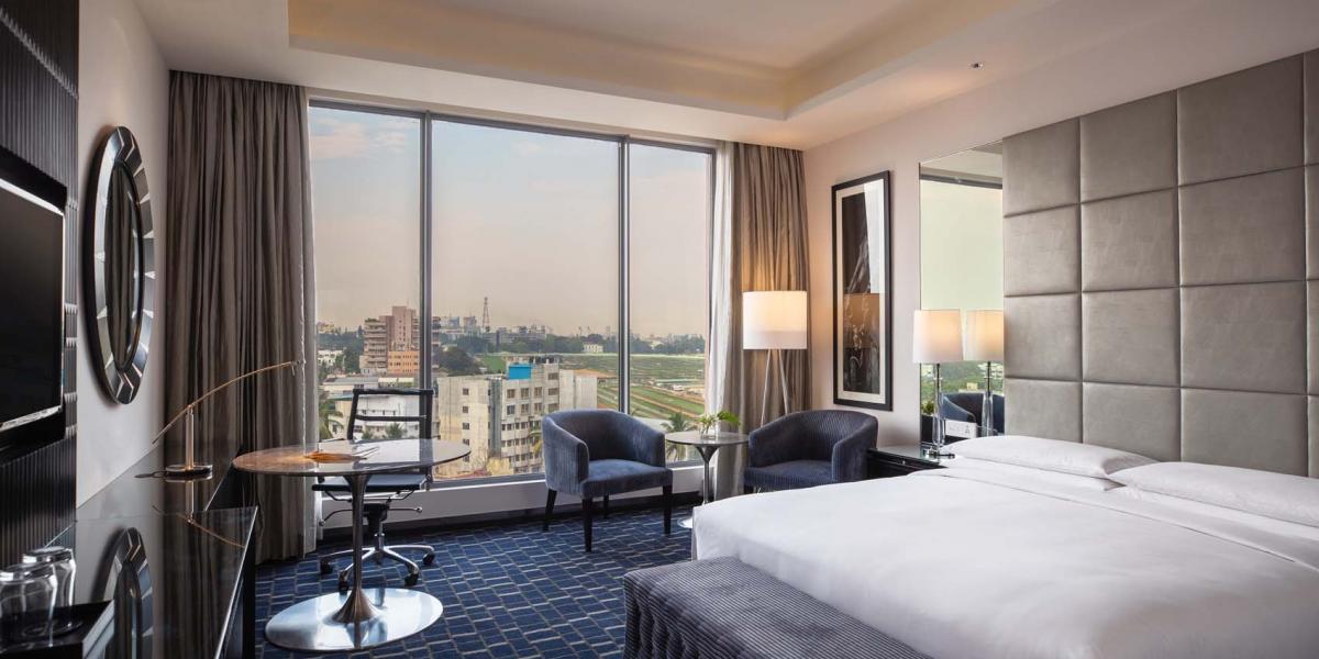 guestroom king race course 6804